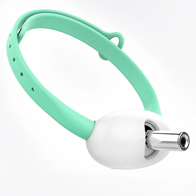 Gatiz: El Collar Láser que Hace Jugar a tu Gato
