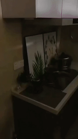 Luz de lujo - una luz inteligente con sensor de movimiento