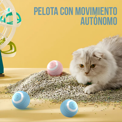 PetRoll: La Pelota Inteligente para Mascotas Activas