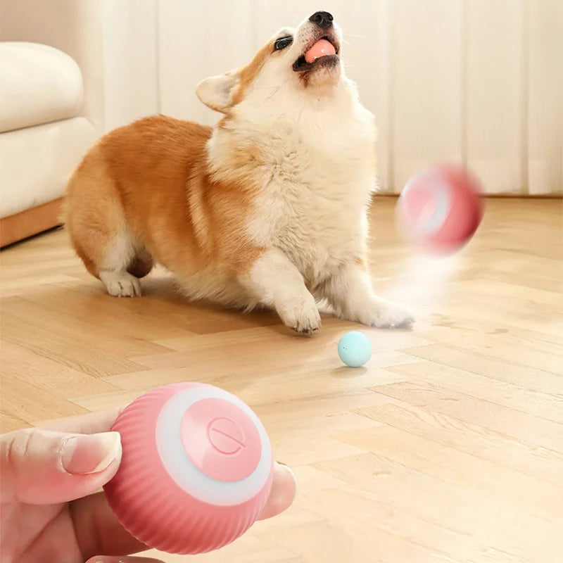 PetRoll: La Pelota Inteligente para Mascotas Activas