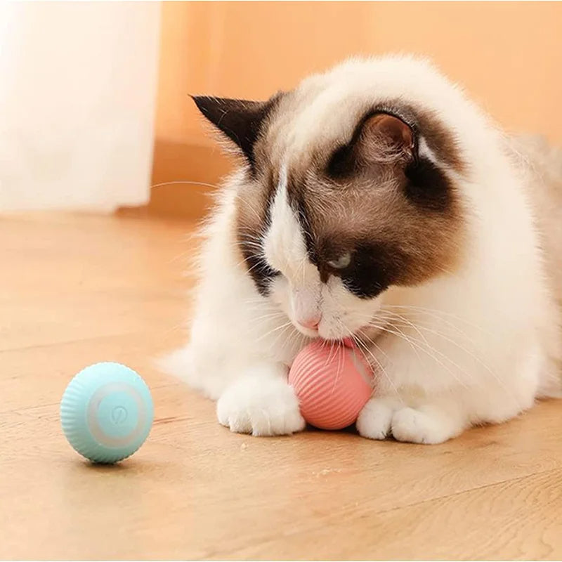 PetRoll: La Pelota Inteligente para Mascotas Activas