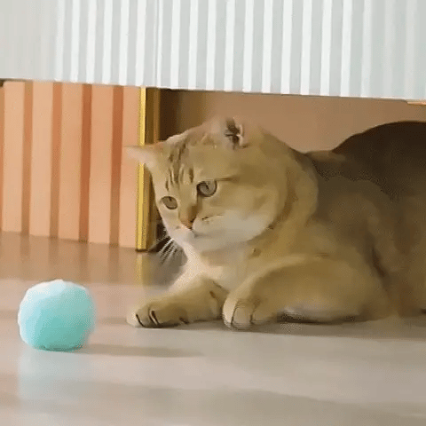 PetRoll: La Pelota Inteligente para Mascotas Activas