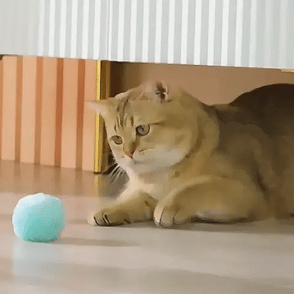 PetRoll: La Pelota Inteligente para Mascotas Activas
