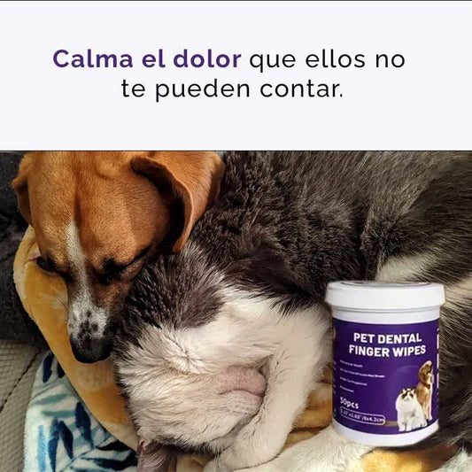 Orejitas fresh - previene y alivia el dolor de tu mascota